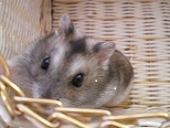 IMGP0259.JPG