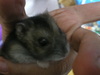 IMGP3670.JPG