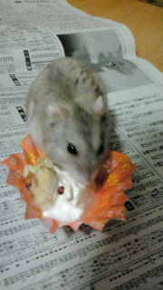 20121113222411.jpg