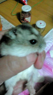 20130914181954.jpg